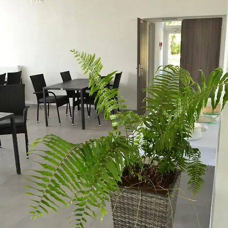 Hotel Garni 31 3*